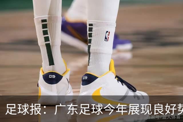 足球报：广东足球今年展现良好势头，广州豹、深圳青年人全力冲超